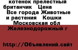 котенок прелестный британчик › Цена ­ 12 000 - Все города Животные и растения » Кошки   . Московская обл.,Железнодорожный г.